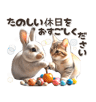 初夏♡仲良しうさぎとネコ（個別スタンプ：26）