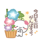 はーい！白玉です40❤梅雨～夏（個別スタンプ：10）