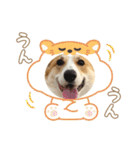 ロイ坊スタンプ2（個別スタンプ：18）