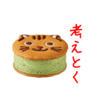 バターサンドの猫、サクッと一言（個別スタンプ：1）