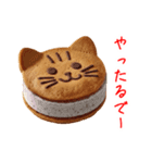 バターサンドの猫、サクッと一言（個別スタンプ：5）