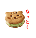 バターサンドの猫、サクッと一言（個別スタンプ：10）