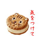 バターサンドの猫、サクッと一言（個別スタンプ：20）