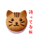 バターサンドの猫、サクッと一言（個別スタンプ：23）
