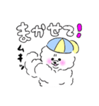 ビションフリーゼのわたあめ屋さん（個別スタンプ：23）