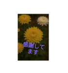 花の美のスタンプ（個別スタンプ：4）