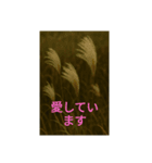 花の美のスタンプ（個別スタンプ：7）