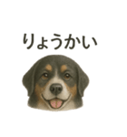 推しワン☆バーニーズマウンテンドッグ〜（個別スタンプ：10）