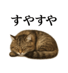 仕事終ノルウェージャンフォレストキャット（個別スタンプ：1）
