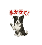 推しワン★ボーダーコリー 保護犬協力（個別スタンプ：5）