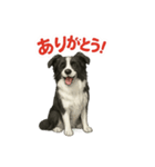 推しワン★ボーダーコリー 保護犬協力（個別スタンプ：12）