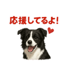 推しワン★ボーダーコリー 保護犬協力（個別スタンプ：18）