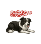 推しワン★ボーダーコリー 保護犬協力（個別スタンプ：26）