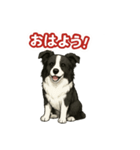 推しワン★ボーダーコリー 保護犬協力（個別スタンプ：36）