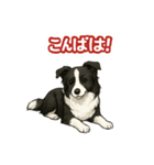 推しワン★ボーダーコリー 保護犬協力（個別スタンプ：37）