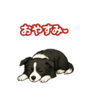 推しワン★ボーダーコリー 保護犬協力（個別スタンプ：38）