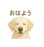 推しワン★ラブラドールのやさしい言葉（個別スタンプ：2）