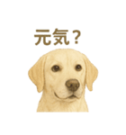 推しワン★ラブラドールのやさしい言葉（個別スタンプ：18）