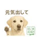 推しワン★ラブラドールのやさしい言葉（個別スタンプ：20）