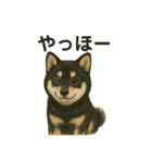 推しワン☆ブラックタン柴犬〜ギャップ萌（個別スタンプ：2）