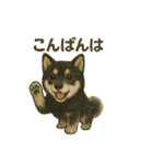推しワン☆ブラックタン柴犬〜ギャップ萌（個別スタンプ：5）