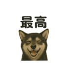 推しワン☆ブラックタン柴犬〜ギャップ萌（個別スタンプ：35）