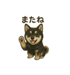推しワン☆ブラックタン柴犬〜ギャップ萌（個別スタンプ：38）