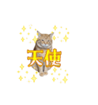 家猫…うちの猫（個別スタンプ：24）