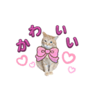 家猫…うちの猫（個別スタンプ：32）