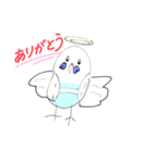 インコちゃん色んなスタンプ多め（個別スタンプ：7）