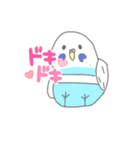 インコちゃん色んなスタンプ多め（個別スタンプ：10）
