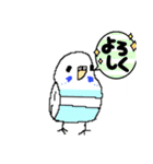 インコちゃん色んなスタンプ多め（個別スタンプ：13）