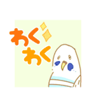 インコちゃん色んなスタンプ多め（個別スタンプ：14）