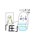 インコちゃん色んなスタンプ多め（個別スタンプ：19）