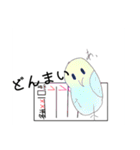 インコちゃん色んなスタンプ多め（個別スタンプ：23）