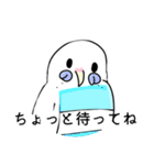 インコちゃん色んなスタンプ多め（個別スタンプ：27）
