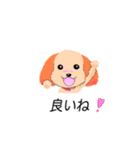 WAOの犬猫ファミリー三号室（個別スタンプ：2）