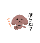 WAOの犬猫ファミリー三号室（個別スタンプ：3）
