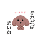 WAOの犬猫ファミリー三号室（個別スタンプ：5）