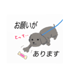 WAOの犬猫ファミリー三号室（個別スタンプ：6）