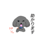WAOの犬猫ファミリー三号室（個別スタンプ：7）