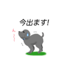 WAOの犬猫ファミリー三号室（個別スタンプ：10）