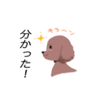 WAOの犬猫ファミリー三号室（個別スタンプ：11）