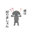 WAOの犬猫ファミリー三号室（個別スタンプ：12）