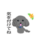WAOの犬猫ファミリー三号室（個別スタンプ：16）