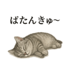 仕事終わりの一言〜リアルなマンチカン子猫（個別スタンプ：4）
