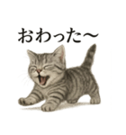 仕事終わりの一言〜リアルなマンチカン子猫（個別スタンプ：8）