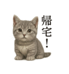 仕事終わりの一言〜リアルなマンチカン子猫（個別スタンプ：11）