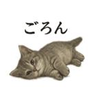 仕事終わりの一言〜リアルなマンチカン子猫（個別スタンプ：14）