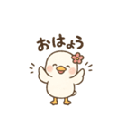 まるまるあひるのやさしい日常（個別スタンプ：1）